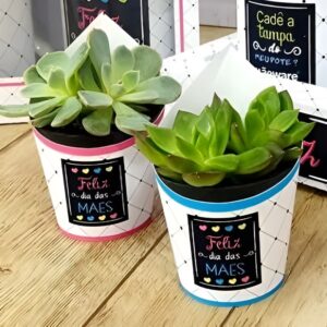 Arte Digital para Suculenta Dia das Mães - Kit 4 Cores PNG