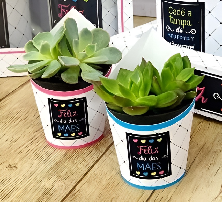 Arte Digital para Suculenta Dia das Mães - Kit 4 Cores PNG